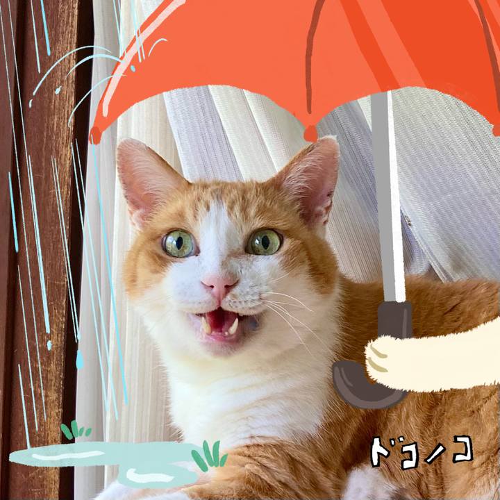 Fd085dad b748 4bb2 a946 6417df2ce56b 1749105260138