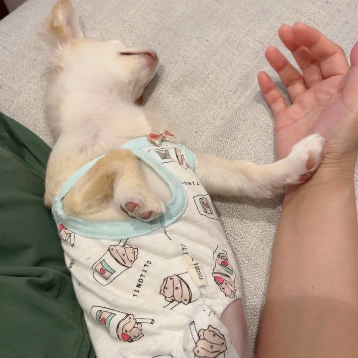 Fd087f7f b028 422f ad5f d57c5c63ab68 1722605662940