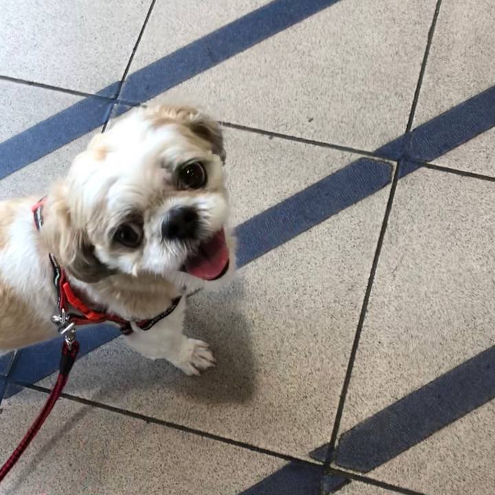 Fd0892d2 3a31 4305 bca7 5011d2859a97 1564522780424