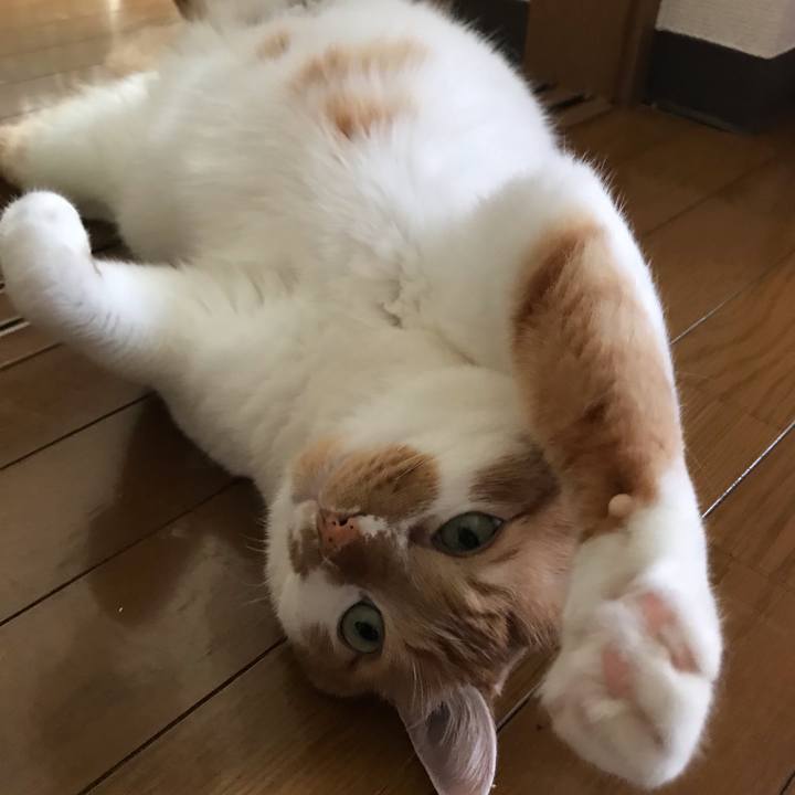 Fd08a49e 2c61 4cbf 9345 4af71fb4ce57 1559778043868