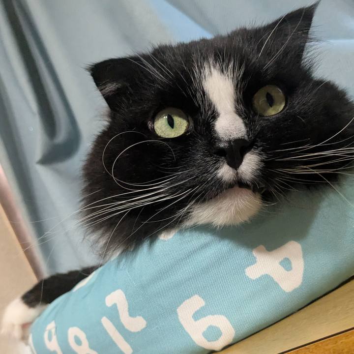 Fd093be0 8075 4509 80a6 64791ebb6b82 1746938033561