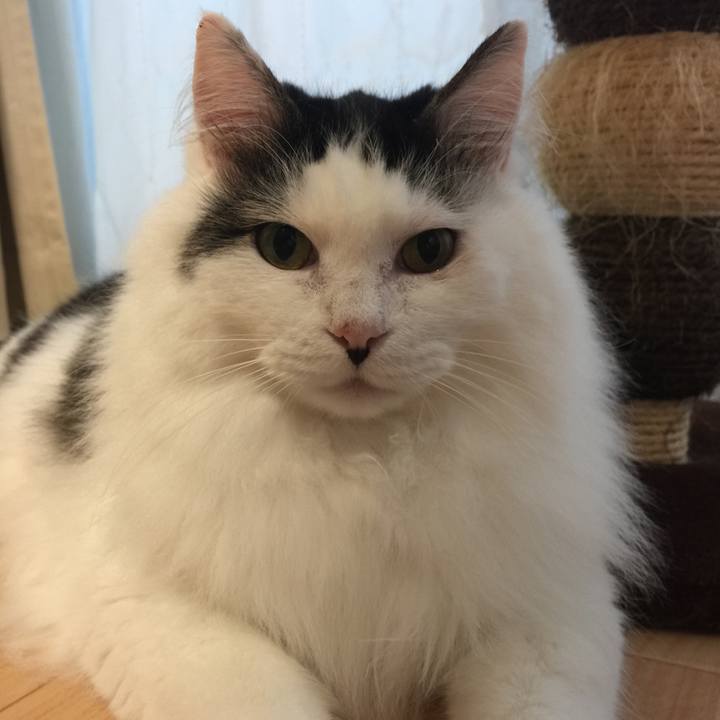 Fd0948e7 b564 492e 8149 158986df618b 1534582869502