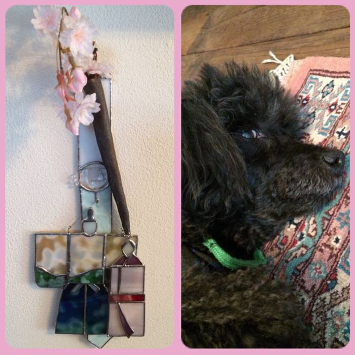 Fd097647 78e0 4933 8f42 17234d147a36 1520036505588