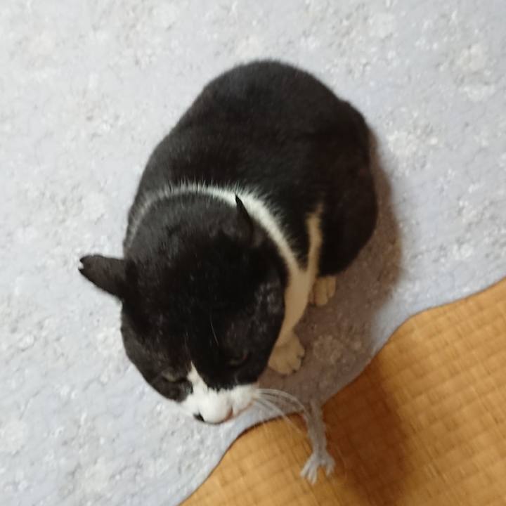 Fd09b9d5 e5c5 4f8d 9227 27bfe06e6ffe 1651102092343