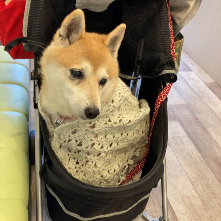 Fd09c584 70fe 4de7 8680 59c984caf5de 1638189588590