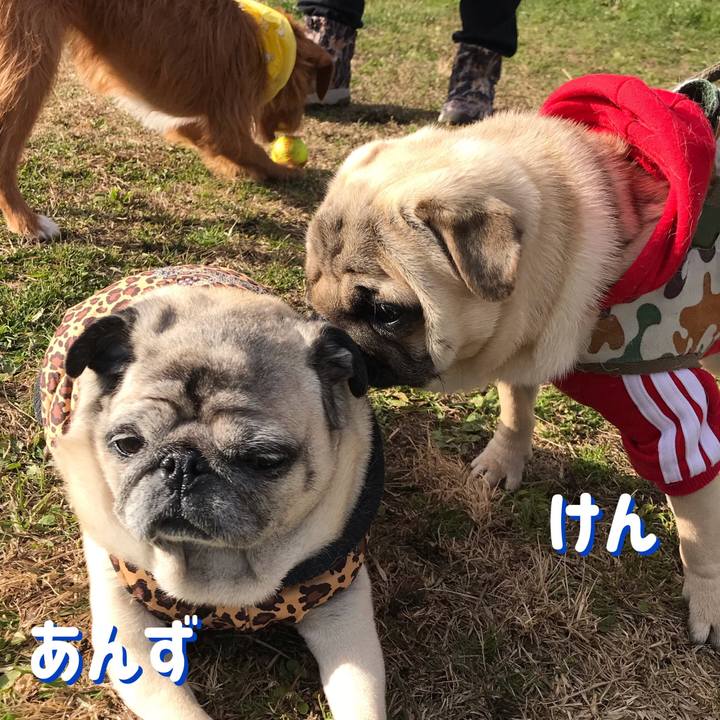 Fd09cdfd 3ee4 4983 af36 aac20a5484df 1546078989744