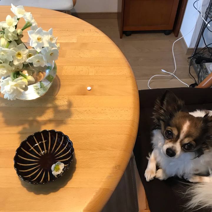 Fd09e5a0 fd34 4e16 a5d9 273ac5cd0459 1554079720726