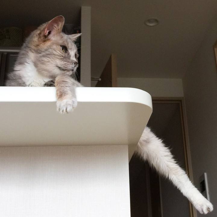 Fd09f86c ce5d 4709 baba 466ad9247cb2 1529712474570