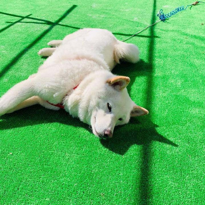 Fd0a850c 8925 4166 9ed2 7c0eab78fcf0 1585891973796