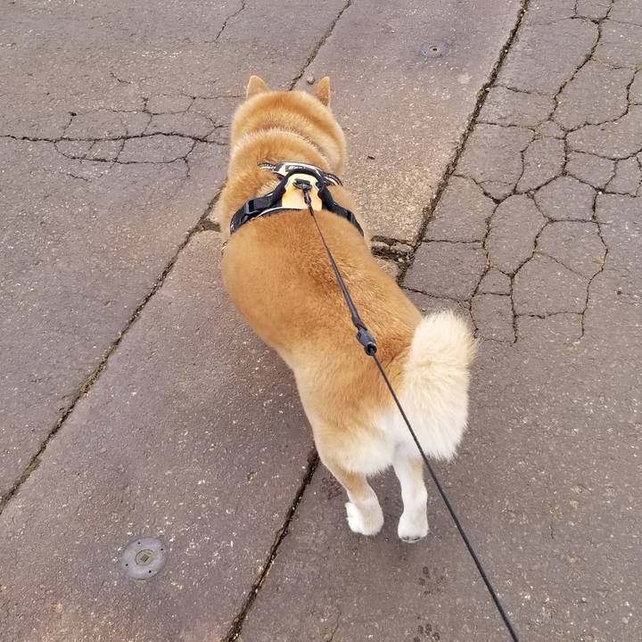 Fd0a8dd3 bab4 4949 8dbf 682a6088d0d2 1741058153768