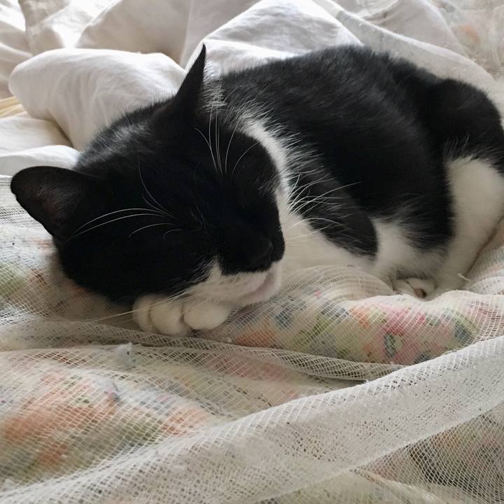 Fd0a97f2 2acf 4ff6 acef f7862bed7789 1525753138421