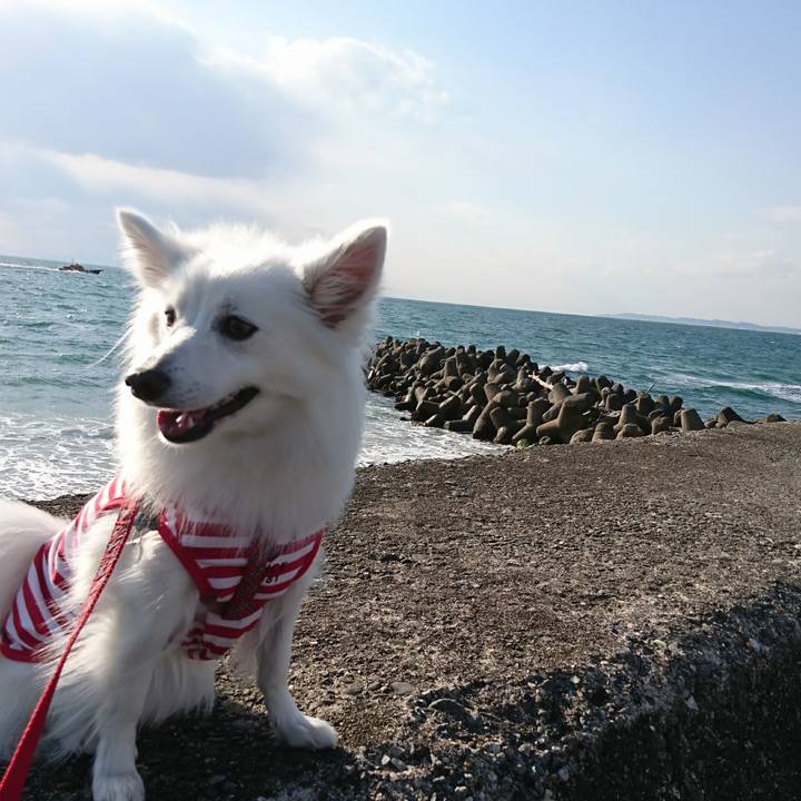 Fd0a9d79 b706 4fd1 a397 acb0b6e6d847 1523194049363