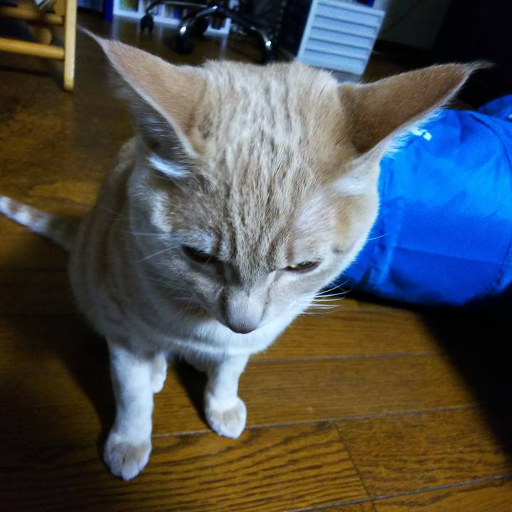 Fd0ac09a f557 42b1 875d 44e173c2e4f1 1549700581317