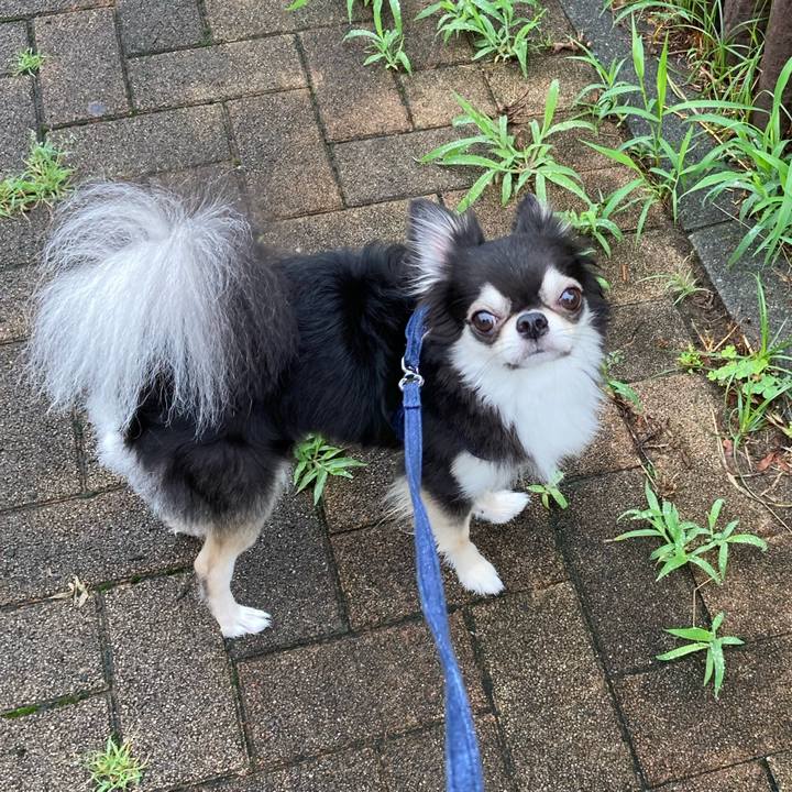 Fd0ac143 678f 4c48 97e2 21ba5e93a9bc 1657943086340