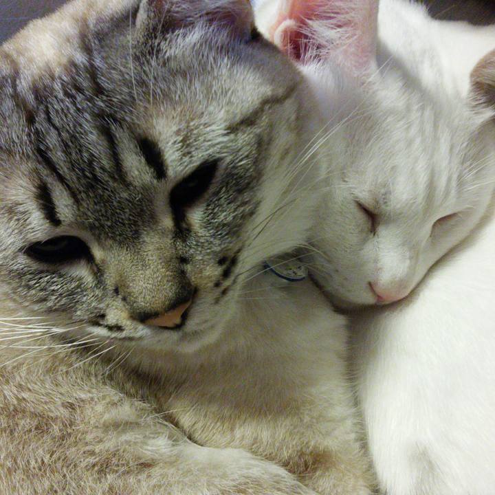 Fd0ae4b6 1294 45d8 a767 f020eac01a1e 1515577178486