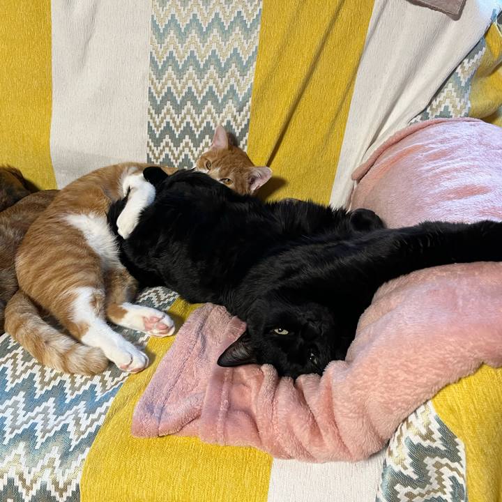 Fd0b1d5b 3379 4f89 8d5a f61d7a028b5c 1677311099948