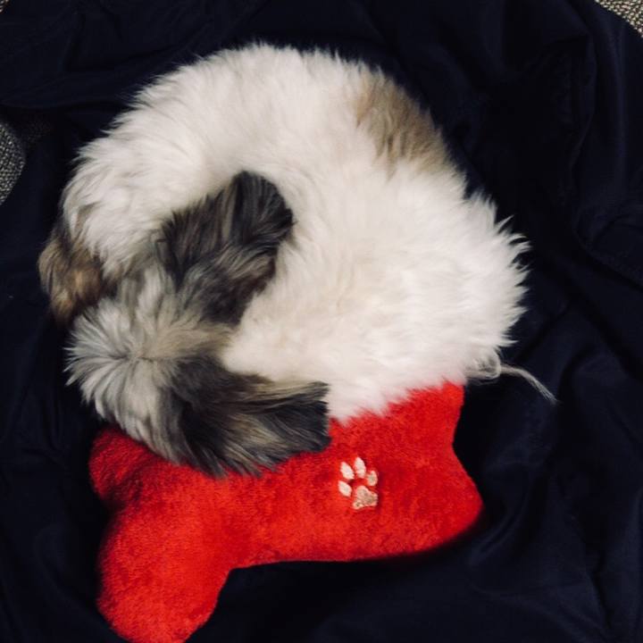 Fd0b32f3 cb47 4841 9016 052cfc1a78da 1513263624341