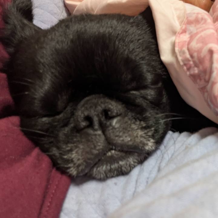 Fd0b4c5a 963d 4bf1 8c41 1feacc4eb69e 1770039462233