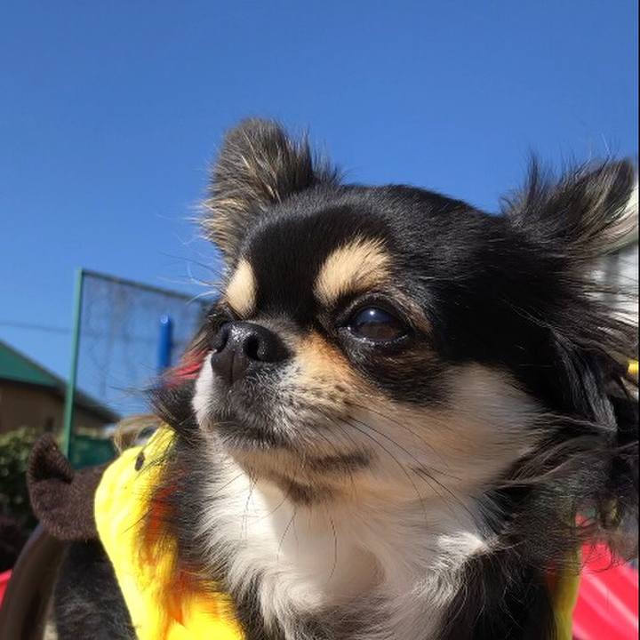 Fd0b5941 56c5 4c3b b98c c6b091b544f8 1582724051371