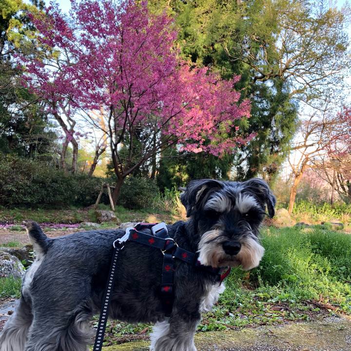 Fd0b650b 5eb2 4d4c b148 ed8def421f62 1649762207404