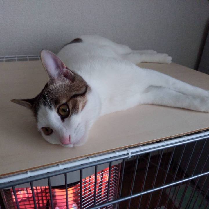 Fd0b74bb 3bf5 4ac5 9d16 42e8179582c4 1646485170356