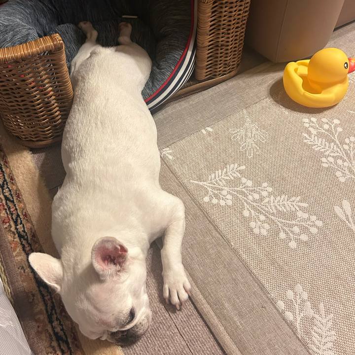 Fd0b9a21 0155 419b 9a19 697f83a1b06f 1758360948852