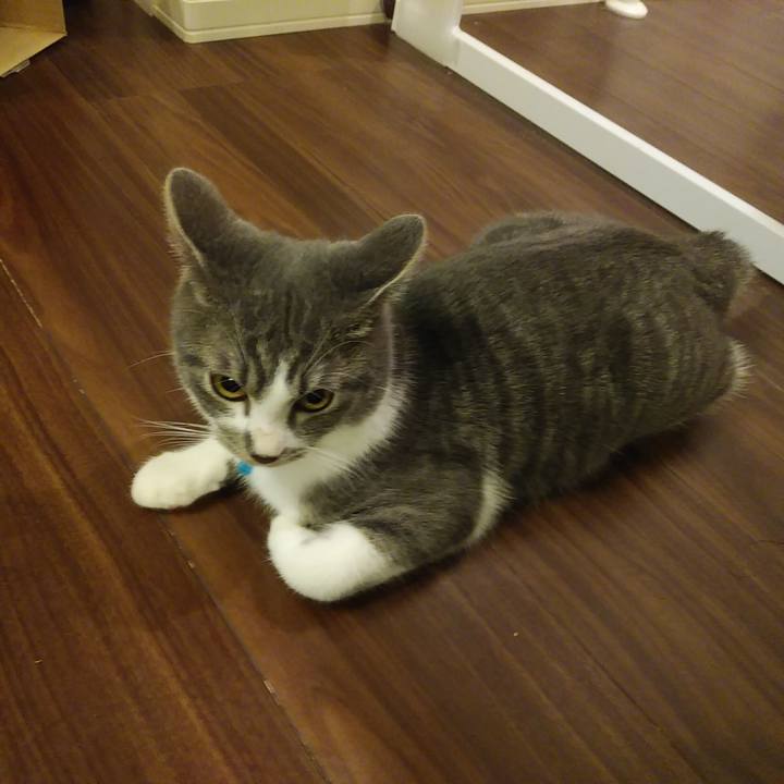 Fd0bb222 599b 42b4 8664 d22e85766df0 1574424513529