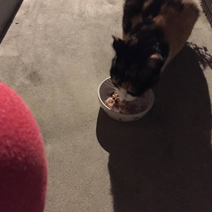 Fd0bd969 6970 4b41 a303 162bb765c4db 1508854730722