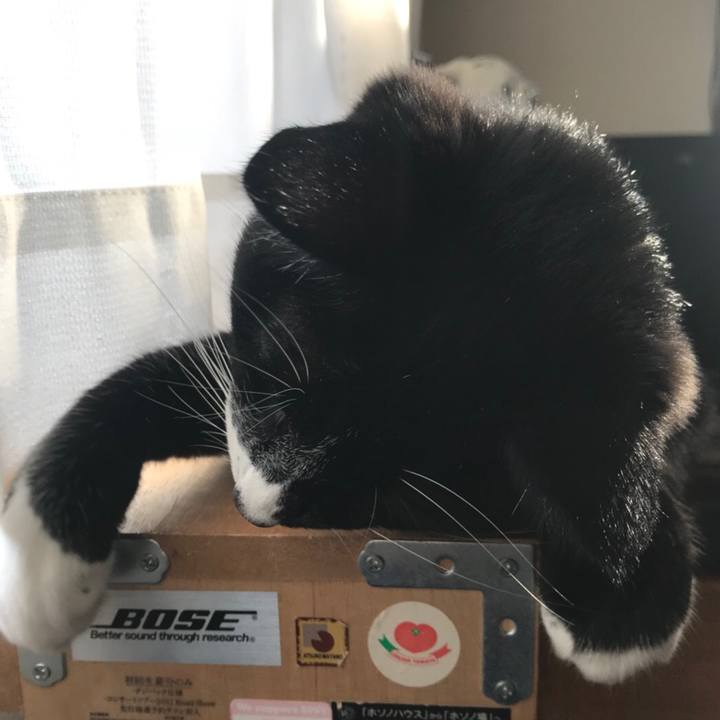 Fd0bfdf5 35dd 4fde 8619 f24c93fabe01 1538452023954