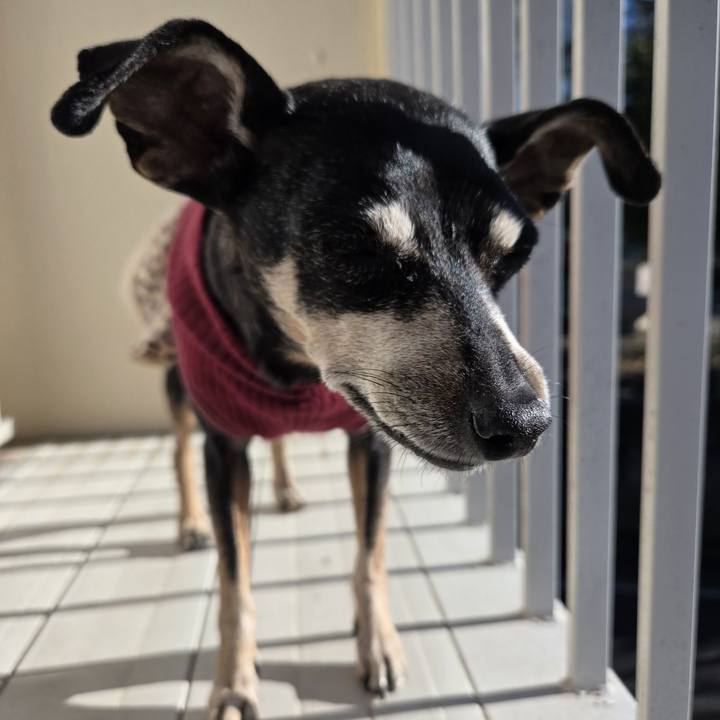 Fd0c0467 05a9 4493 a1c9 0948310bc9ce 1767418115143