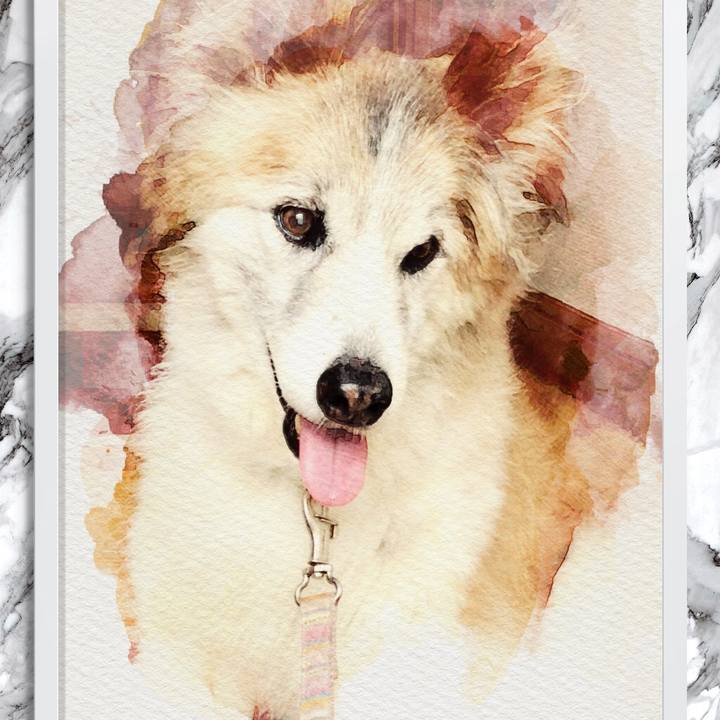 Fd0c0e12 6ae7 49ca 876b 28cad99c8d14 1535168914012