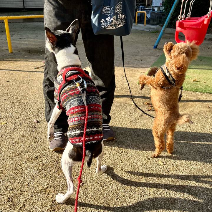 Fd0c3288 93b5 428b 811c bb83fe27f720 1637629338103