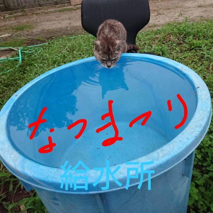 Fd0c50aa 6296 4f5a 8b77 58208f09db8a 1596835663121