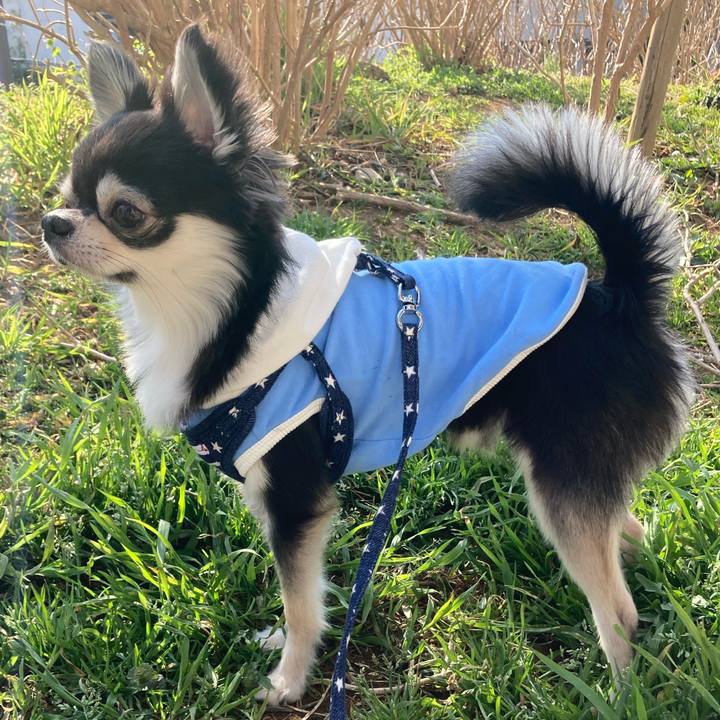 Fd0c726f f0c2 487d 8030 14272e85add7 1647058996327