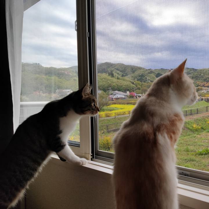 Fd0c9804 5c3b 4f25 a60b 16bd8049d36f 1681604092959