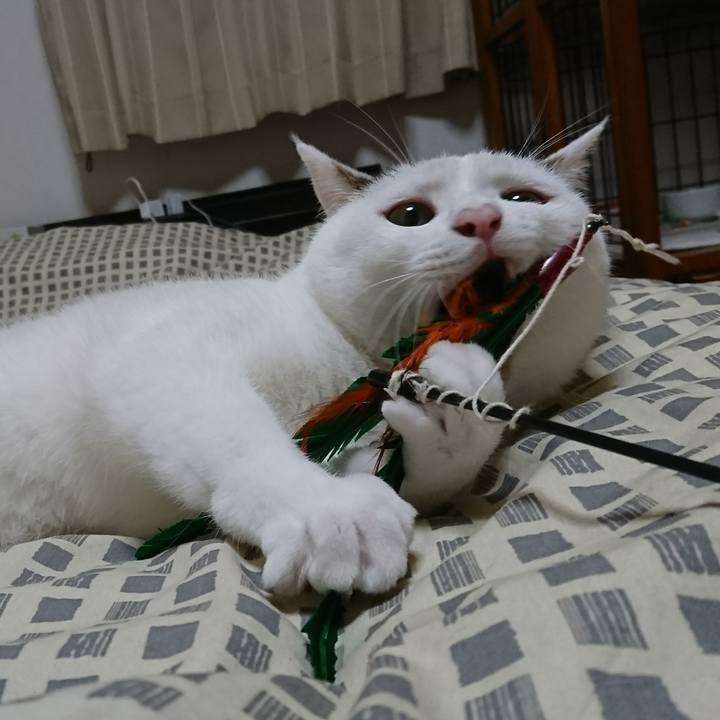 Fd0ce700 c9f2 41a5 9656 f7b6d6e52aa2 1509550145551