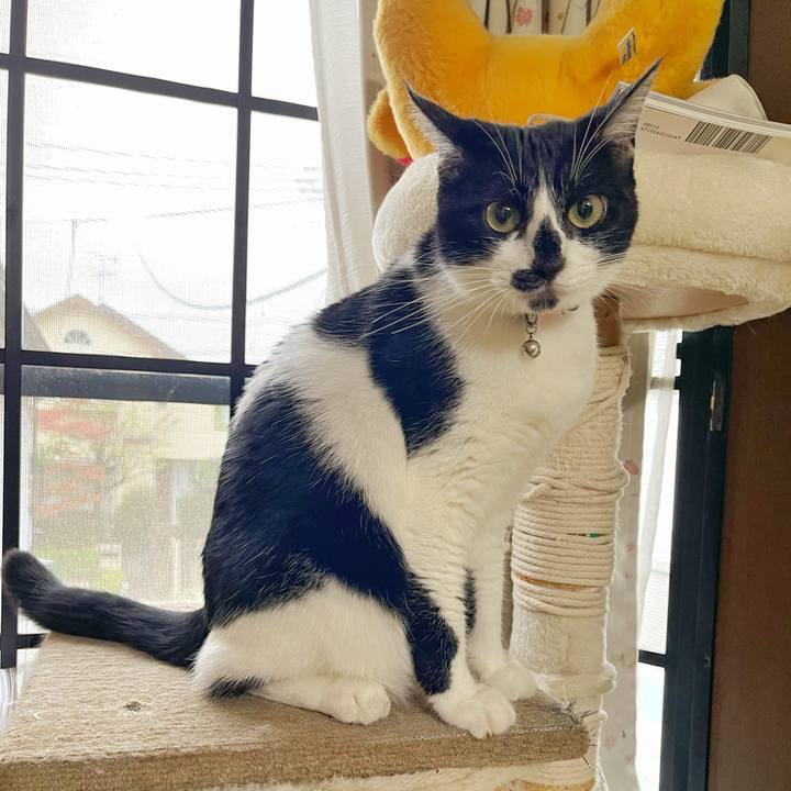 Fd0d5b76 2d2d 48fc ad48 bf3859eef425 1760914289206