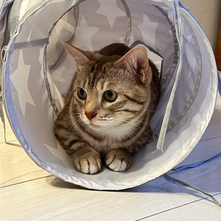 Fd0d6e0c 0187 405b 8522 188d8e2c460f 1686407187160