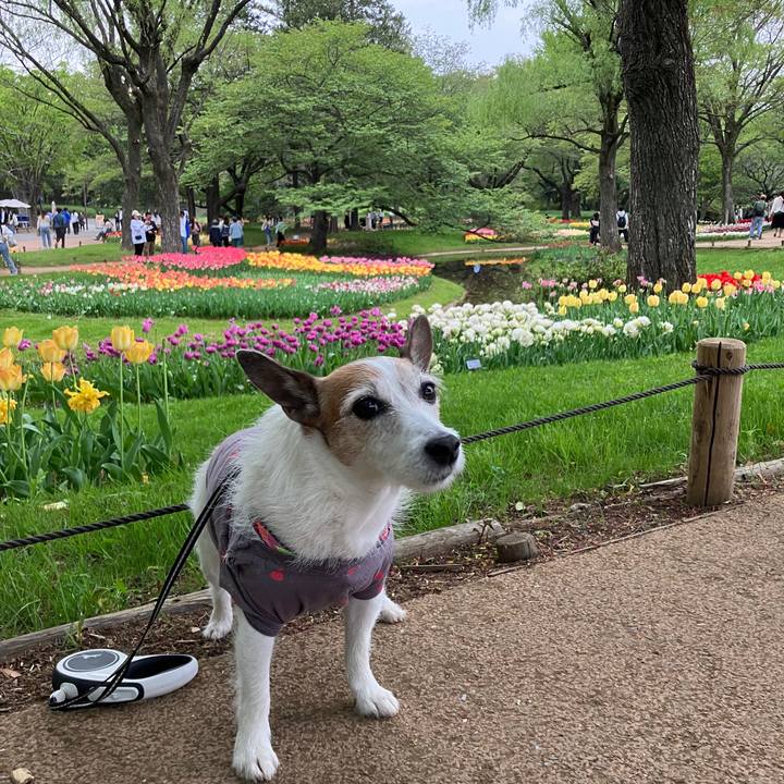 Fd0d8464 b9fb 4407 9c41 cd1965441ef7 1713914443153