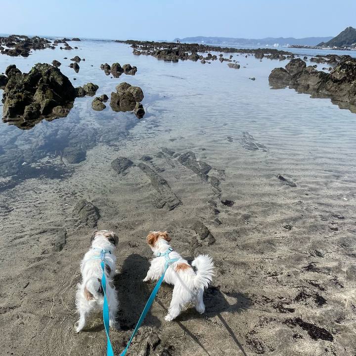 Fd0d8de8 e73b 4fb1 b8ed bea109d1f9d6 1774168398113