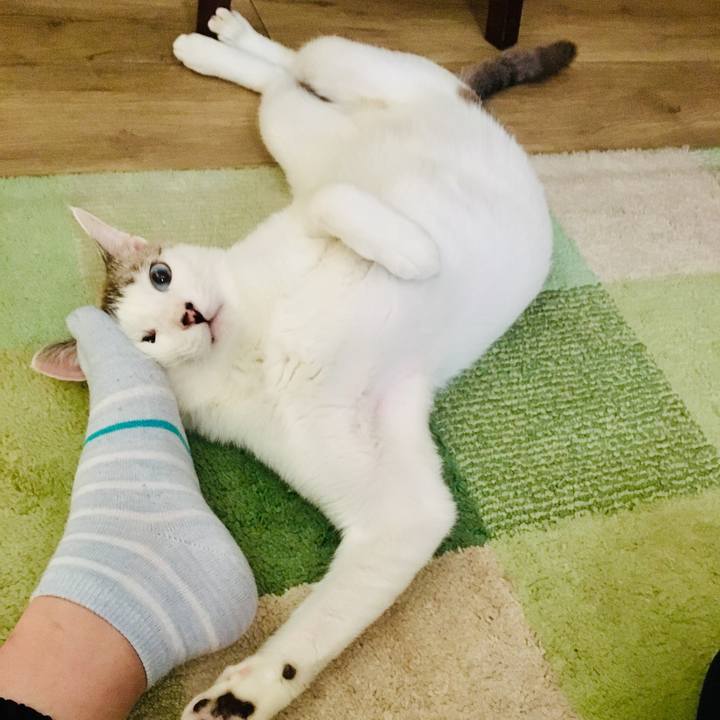 Fd0e0ad6 3768 4450 8df9 c0a0d2d65f96 1568355642739