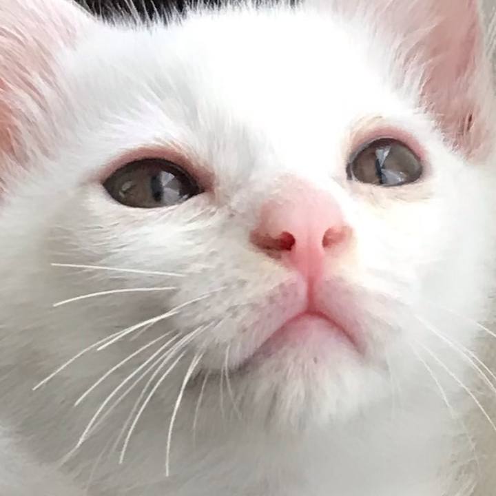 Fd0e1ff6 7669 4466 bc40 9d79131924ca 1576851313768