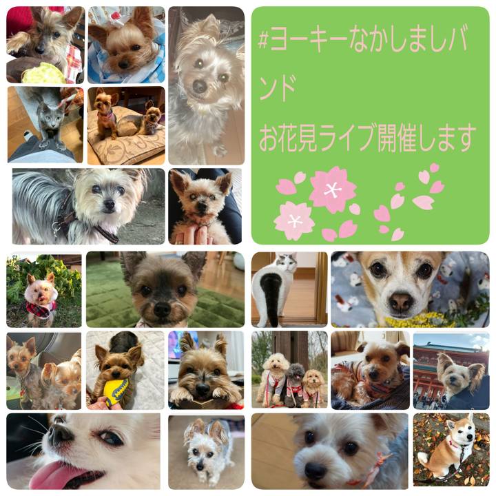 Fd0e3316 601e 4758 9981 da4eca7e1b4a 1679042561946