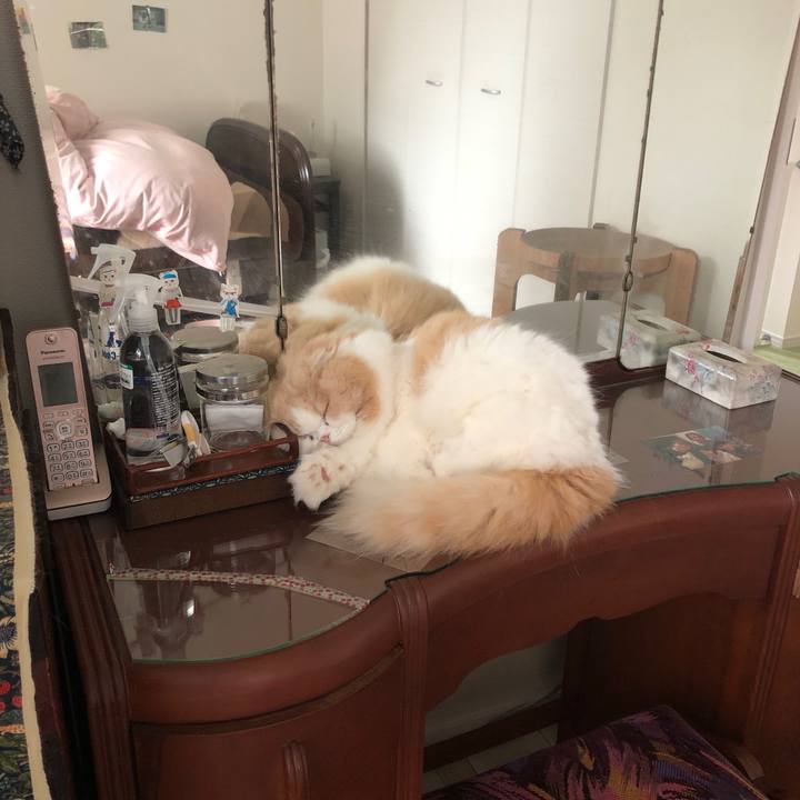 Fd0e656d d1cd 4a97 9520 cde4369b1bfd 1665788308074