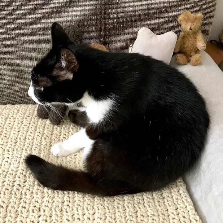 Fd0e75a1 9960 4286 b187 1e899c65df40 1528345069240