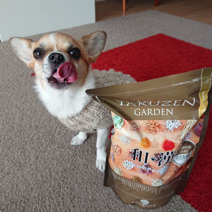 Fd0eacec ae37 4c17 837a 67989da815cb 1613371548364