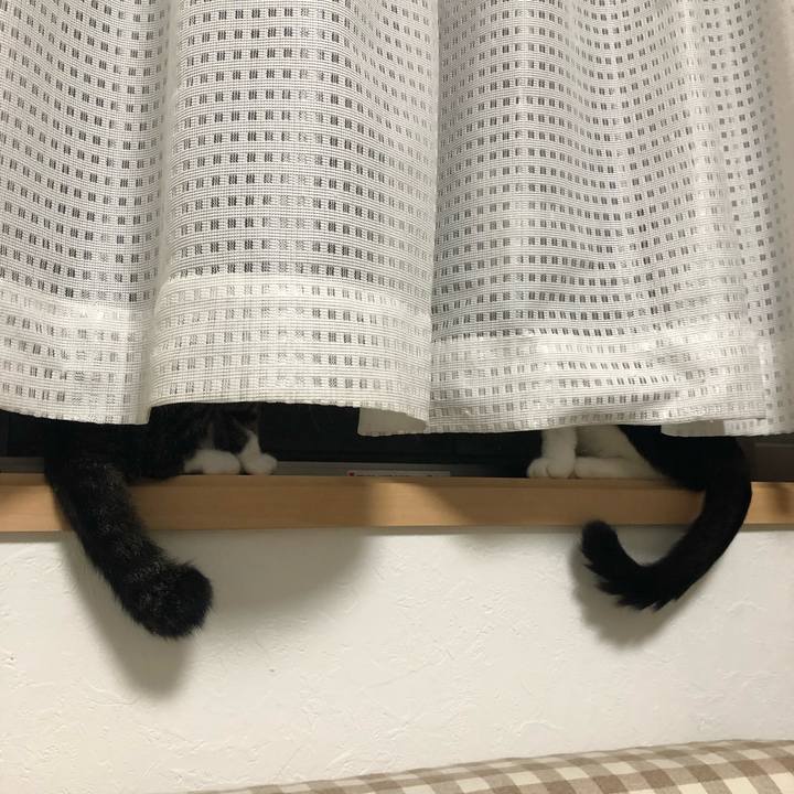 Fd0ec45a c655 4705 a76f 4796a480317b 1563884867516