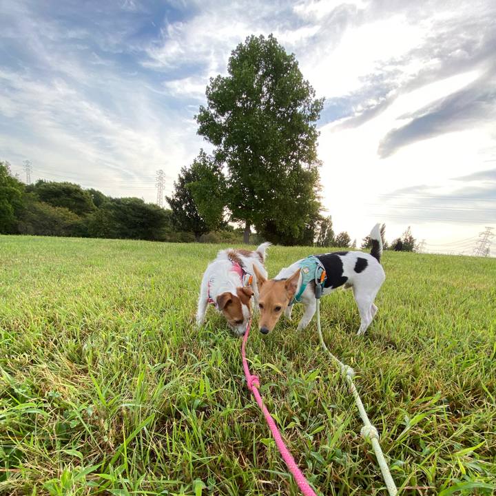 Fd0ee004 b5a8 4891 bff3 afa853c63167 1759021075847