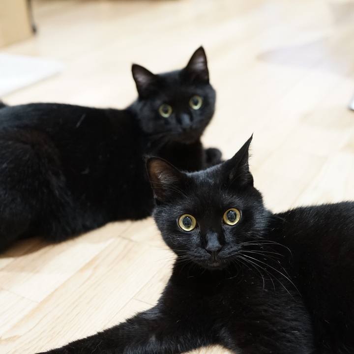 Fd0eff3b b053 49c1 bdfd 9b00cd30f78b 1565740260635