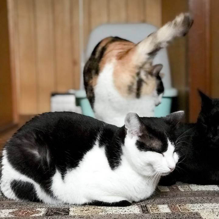 Fd0f13ca 8be8 4211 9eb3 771e988376de 1523150250309